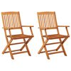 vidaXL Chaises de jardin pliables lot de 2 Bois d'eucalyptus massif