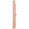 vidaXL Portes de cuisine d'extérieur 50x9x82 cm bois massif douglas