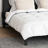 vidaXL Duvet d'hiver avec oreiller 3 pcs Blanc Plume de canard