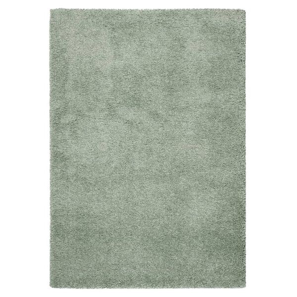 Dutch Lifestyle Tapis New York 230x160 cm Vert