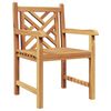 vidaXL Chaise de jardin 2 pc Bois de teck massif