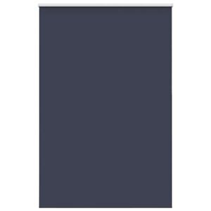 vidaXL Store enrouleur occultant largeur du tissu 161,6 cm polyester