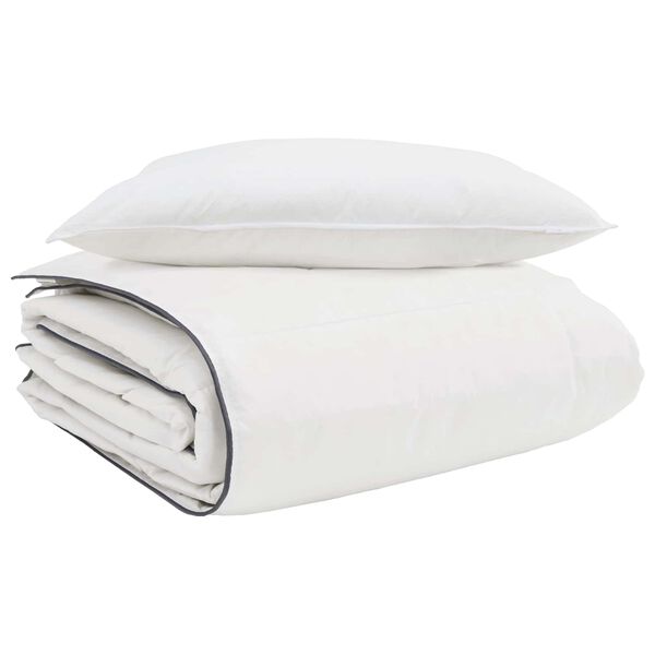 vidaXL Duvet d'hiver avec oreiller 2 pcs Blanc Plume de canard