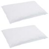 vidaXL Oreiller avec oreiller 2 pcs Blanc 40 x 80 cm Plume