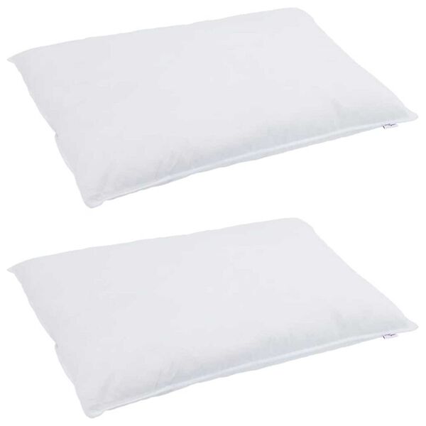 vidaXL Oreiller avec oreiller 2 pcs Blanc 40 x 80 cm Plume