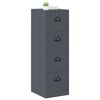 vidaXL Cabinet de Dossier 2 pcs Anthracite 44 x 50 x 106.5 cm
