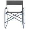 vidaXL Chaises de metteur en sc&egrave;ne lot de 2 Acier Gris