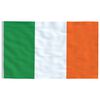 vidaXL Drapeau de l'Irlande et mât 5,55 m Aluminium