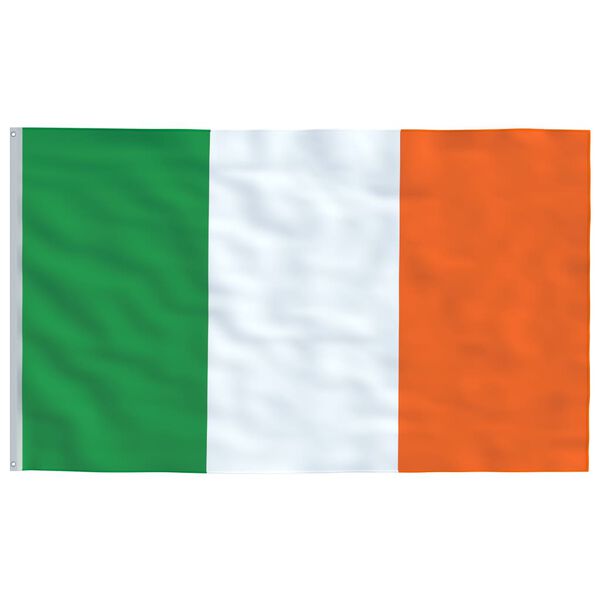 vidaXL Drapeau de l'Irlande et mât 5,55 m Aluminium