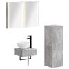 vidaXL Ensemble d'armoire de salle de bain 4 pc Gris b&eacute;ton
