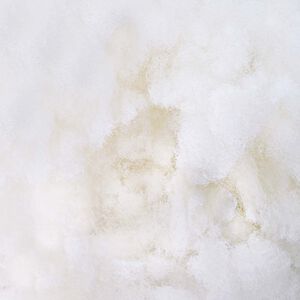 vidaXL Remplissage en Fibre Blanc 2,5 kg Polyester
