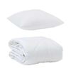 vidaXL Duvet toutes saisons avec oreiller 2 pcs Blanc Microfibre