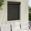 vidaXL Volet roulant aluminium 80x100 cm anthracite