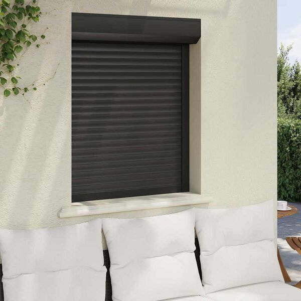 vidaXL Volet roulant aluminium 80x100 cm anthracite