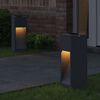 vidaXL Lumi&egrave;re de Chemin LED Solaire 2 pcs Anthracite