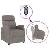 vidaXL Fauteuil Taupe Tissu