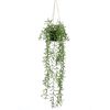 Emerald Buisson suspendu senecio artificiel en pot 70 cm