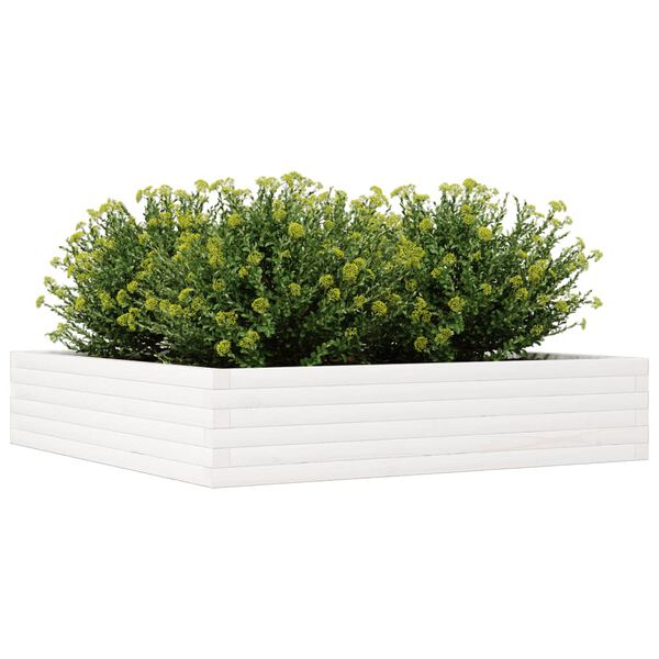 vidaXL Jardini&egrave;re blanc 110x110x23 cm bois de pin massif