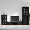 vidaXL Ensemble meuble TV avec tiroir FLORIN Noir Bois d'ing&eacute;nierie