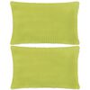 vidaXL Jeu de coussin lot de 2 Velours 40 x 60 cm Vert