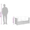 vidaXL Canapés d'angle de jardin et coussins 2pcs beige résine tressée