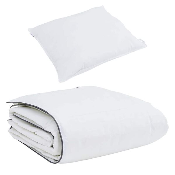vidaXL Duvet d'hiver avec oreiller 2 pcs Blanc Plume de canard