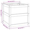 vidaXL Jardinière d'extérieur 60x60x60 cm bois de pin massif