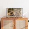 vidaXL Terrarium avec stockage Transparent 50 x 30 x 30 cm Verre
