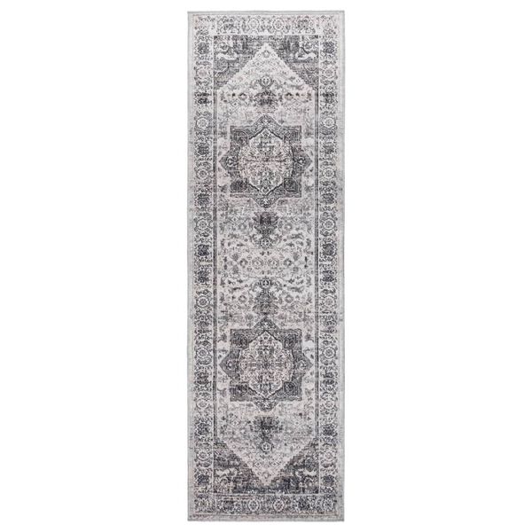 vidaXL Tapis ARBIZU int&eacute;rieur ext&eacute;rieur design vintage 80x250 cm