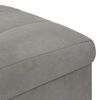 vidaXL Pouf de rangement Gris clair 40 x 40 x 45 cm Velours
