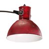 vidaXL Lampadaire 25 W rouge d&eacute;lav&eacute; 150 cm E27