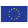vidaXL Drapeau de l'Europe et m&acirc;t 6,08 m Aluminium