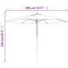 vidaXL Parasol de jardin avec m&acirc;t en bois noir 299x240 cm