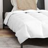 vidaXL Duvet d'été simple avec oreiller 2 pcs Blanc Plume de canard