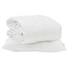 vidaXL Duvet d'&eacute;t&eacute; simple avec oreiller 2 pi&egrave;ces Blanc Microfibre