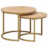 vidaXL Tables basses gigognes 2 pcs Bois de mangue massif et acier