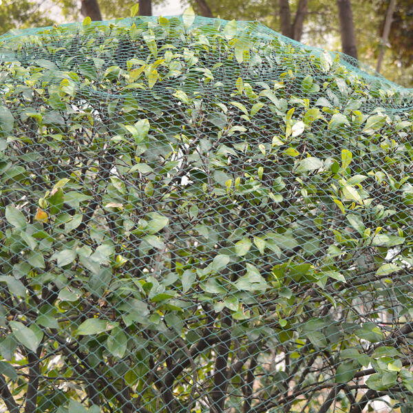 vidaXL Filets anti-oiseaux 2 pi&egrave;ces 4 x 20 m Poly&eacute;thyl&egrave;ne