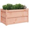 vidaXL Jardini&egrave;res 2 pcs bois massif douglas