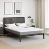 vidaXL Surmatelas Blanc 160 x 200 cm Tissu Jacquard