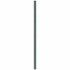 vidaXL Membrane anti-mauvaises herbes vert 4x5 m PP
