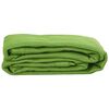 vidaXL Tapis de tente vert clair 250x200 cm PEHD