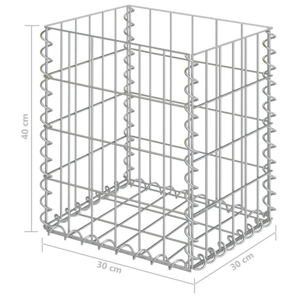 vidaXL Paniers de gabion 2 pcs Acier galvanis&eacute; 30x30x40 cm