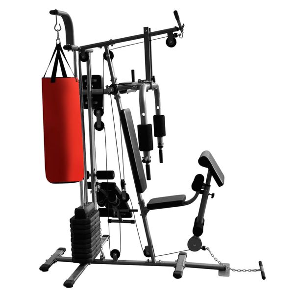 vidaXL Appareil de musculation multifonctionnel avec sac de boxe 65 kg