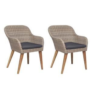 vidaXL Chaises d'ext&eacute;rieur et coussins lot de 2 R&eacute;sine tress&eacute;e Marron