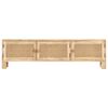 vidaXL Meuble TV 140x30x40 cm Bois de manguier et canne naturelle