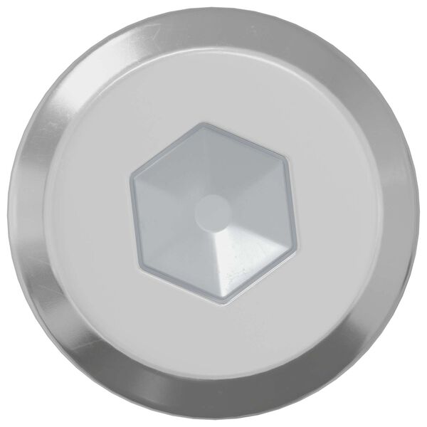 vidaXL Vis de verrou Uni 2 pcs Argent&eacute; M6 x 30 mm Acier