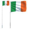 vidaXL Drapeau de l'Irlande et mât 5,55 m Aluminium