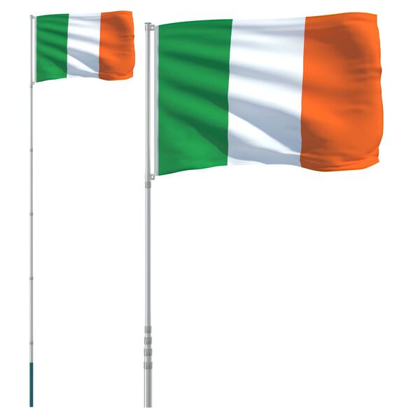 vidaXL Drapeau de l'Irlande et mât 5,55 m Aluminium