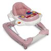 Baninni Trotteur b&eacute;b&eacute; 2 en 1 Classic Rose pastel