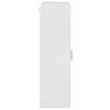 vidaXL Cabinet en Bois avec stockage Blanc brillant 50 x 29 x 100 cm